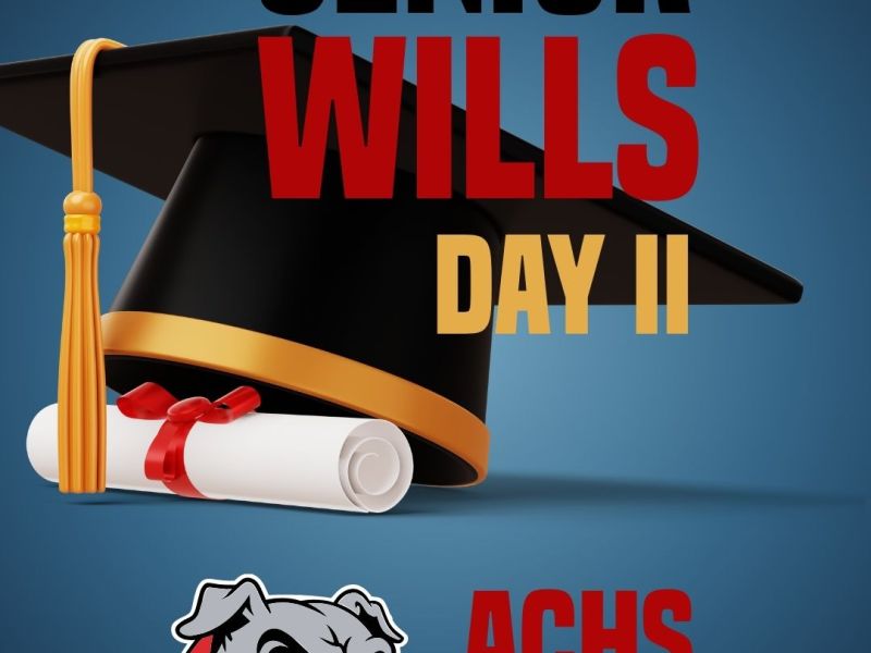 Senior Wills II